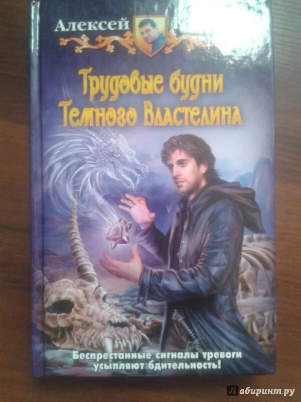 Книги фэнтези про темного властелина. Про темного властелина. Для темного властелина. Про темного властелина. Одинокий властелин желает познакомиться.