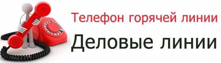 Деловые линии официальный сайт. Накладная деловые линии 2021. Экспедиторская накладная деловые линии. Деловые линии казань телефон горячей линии. Накладная экспедиторская расписка деловые линии.