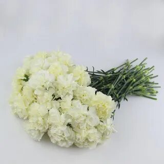 Букет из белых гвоздик