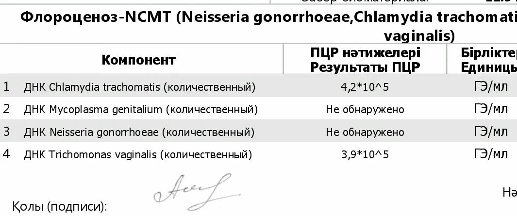 Флороценоз анализ расшифровка норма. Флороценоз и NCMT. ПЦР Флороценоз норма. Флороценоз Гемотест расшифровка. NCMT анализ что это.