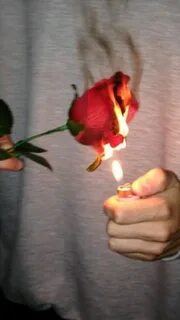 Подари мне жгут