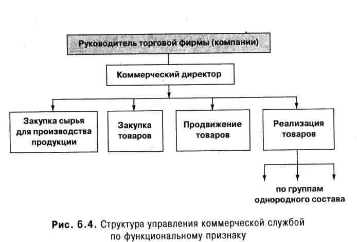 Структура управления коммерческой деятельностью. Схема структуры коммерческой службы торгового предприятия. Структура коммерческой деятельности торгового предприятия. Структура коммерческой службы организации схема. Участие в управление коммерческой организацией