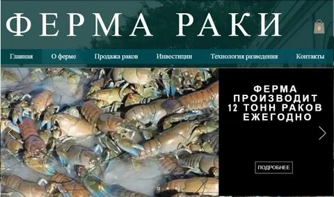 Рак работа январь