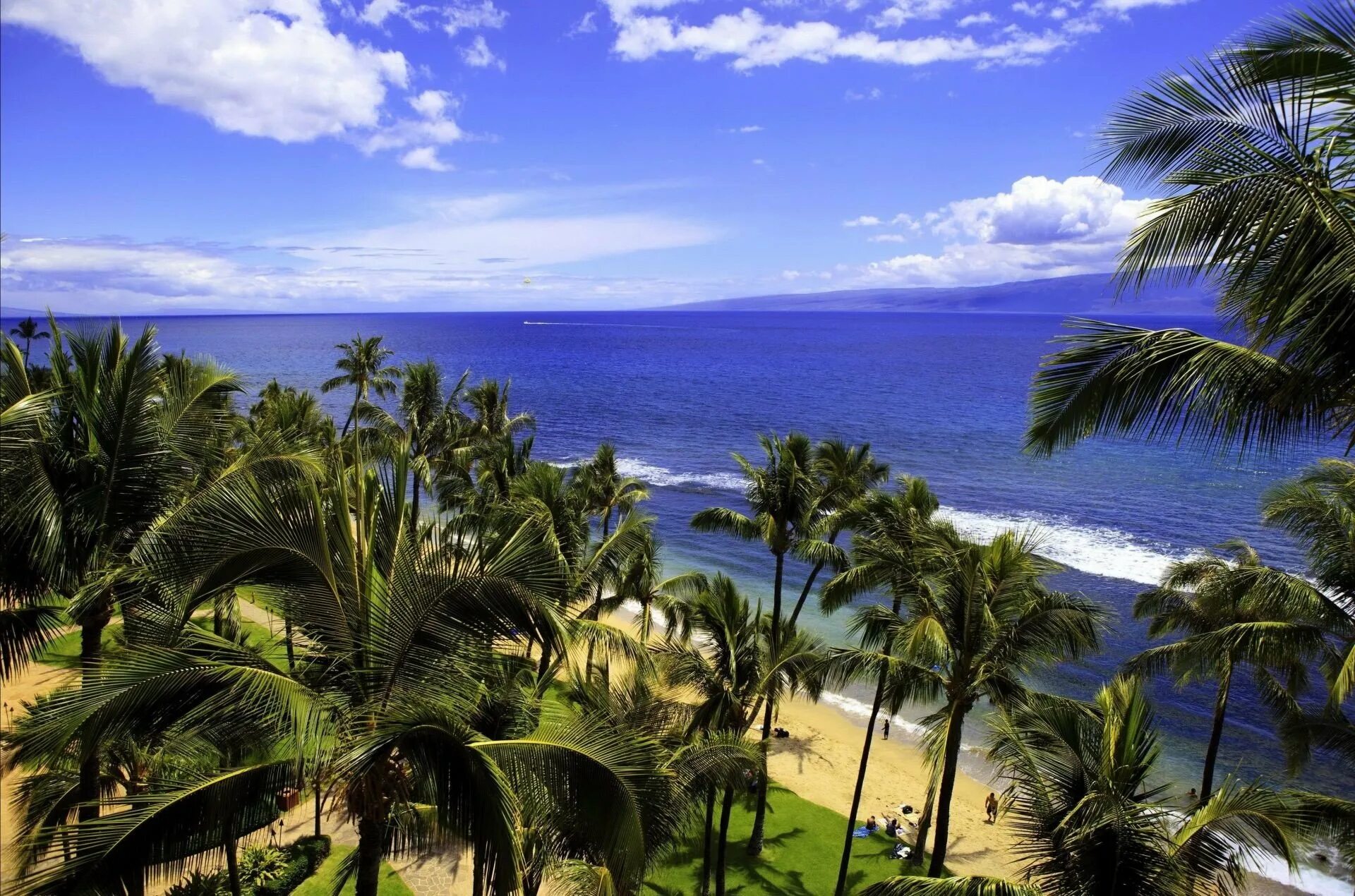 Штат Гавайи. Гавайи климат. Hanauma Bay Гавайи пальмы. Гавайи субтропики.
