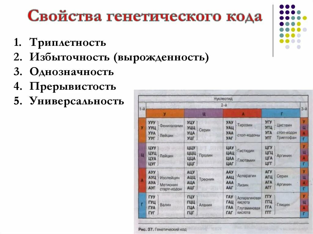 3 генетический код свойства генетического кода. Свойства генетического кода избыточность. Универсальность генетического кода. Универсальность генетического кода и избыточность. Генетический код однозначность избыточность.