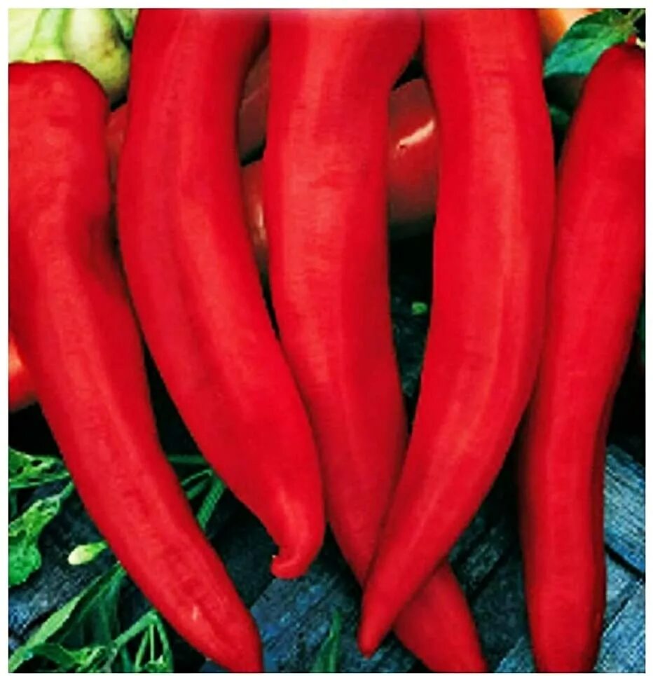 Красное копье. Перец копье. Жгучий перчик перец. Семена перец острый «копьё индейца». Перец копье.