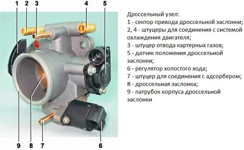 Ваз 2114 датчик заслонки 8 клапанов. Схема подключения дроссельной заслонки ВАЗ 21 12. Схема дроссельной заслонки Приора 16. Дроссельная заслонка ВАЗ 2111 16 клапанов схема. Дроссельная заслонка ВАЗ 2115 2003 подключения.