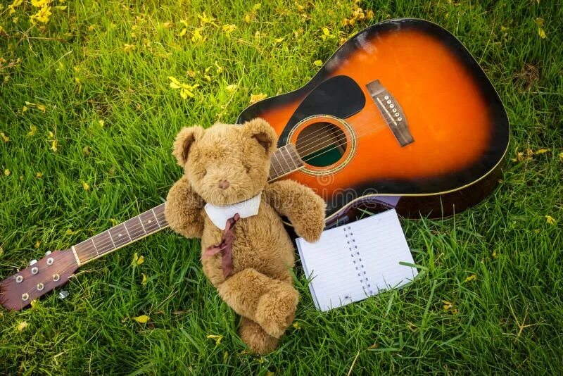 Пой гармошка пой гитара. Плюшевый мишка с гитарой. Медведь с гитарой. Гитара field. Медвежонок на диване с гитарой.