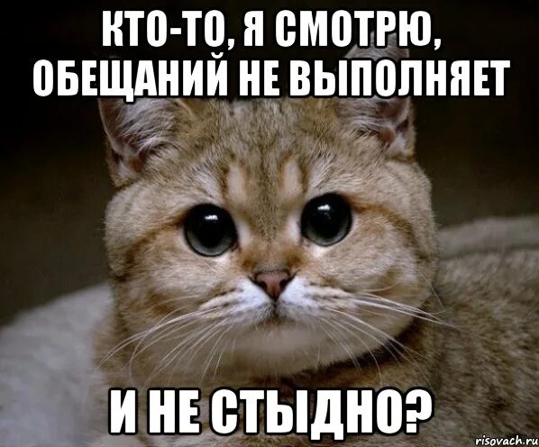 Не выполнено ни одного