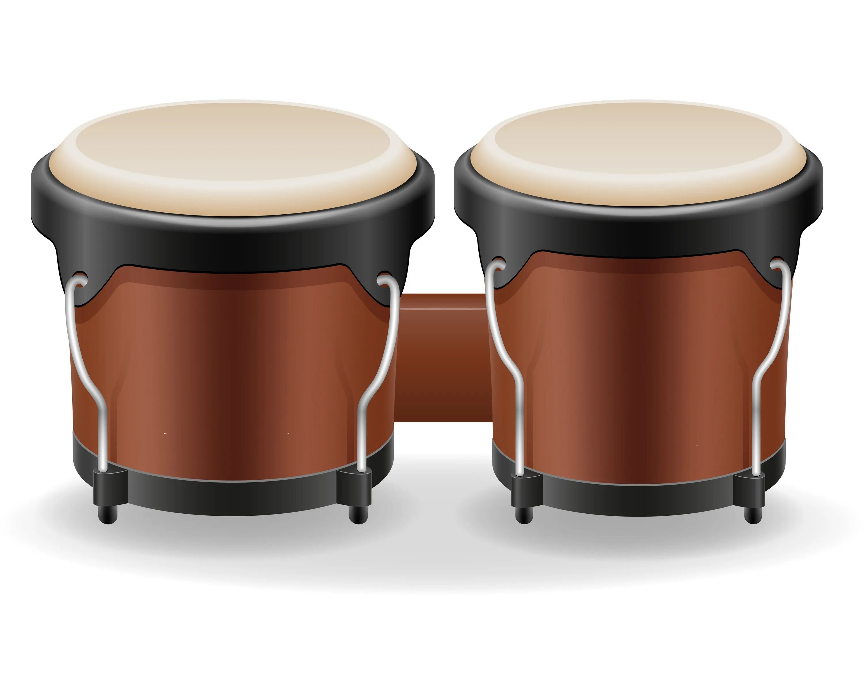 Барабан бонго. Бонго группы. Бонгос (bongos). Бонго барабан музыкант. G305 bongo cat.