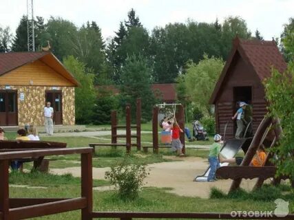 Воробьи парк птиц гостиница