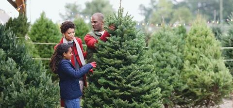 Walking around christmas tree