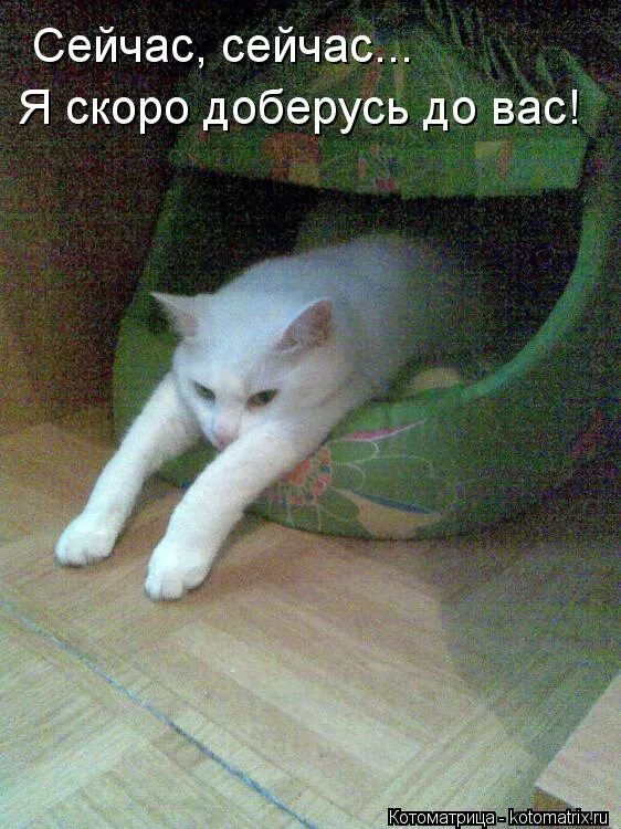 Я доберусь до вас. Я сейчас скоро.