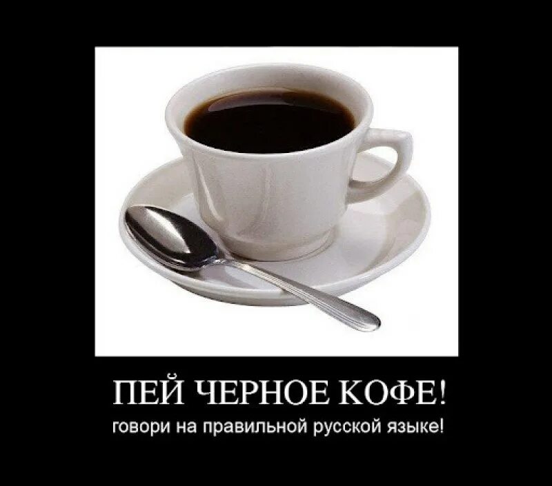 Статусы про кофе. Я пью кофе по утрам хвастался гиппопотам. Я пью кофе по утрам хвастался гиппопотам. Прикольные фразы про кофе. Кружка кофе юмор.