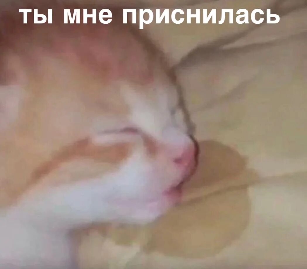 Почему во сне текут слюни