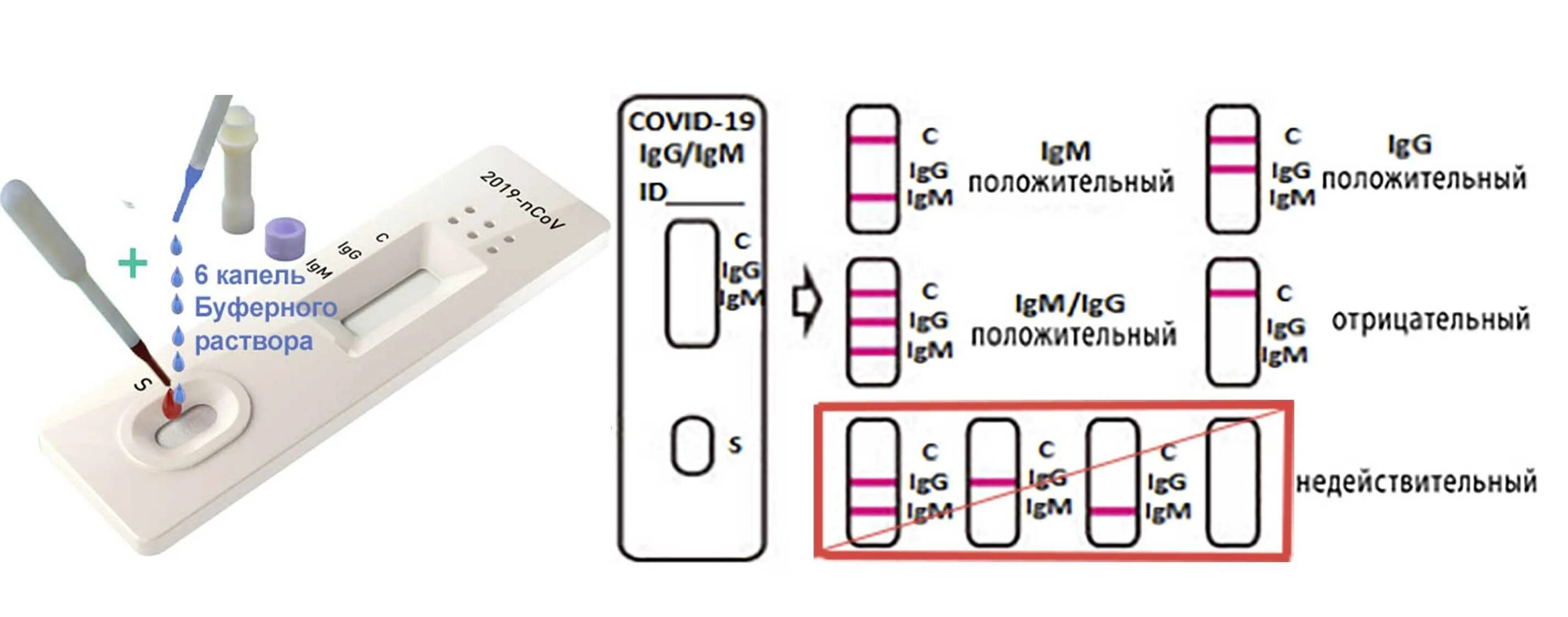 Сколько ковид положительный. Экспресс-тест на ковид полоски. Экспресс тесты на ковид ложноположительные. Экспресс-тест на коронавирус Covid-19. Схема экспресс-тест 2 полоски.