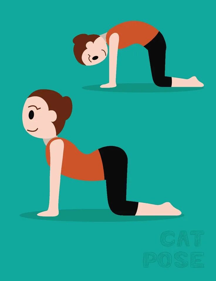 Cat position