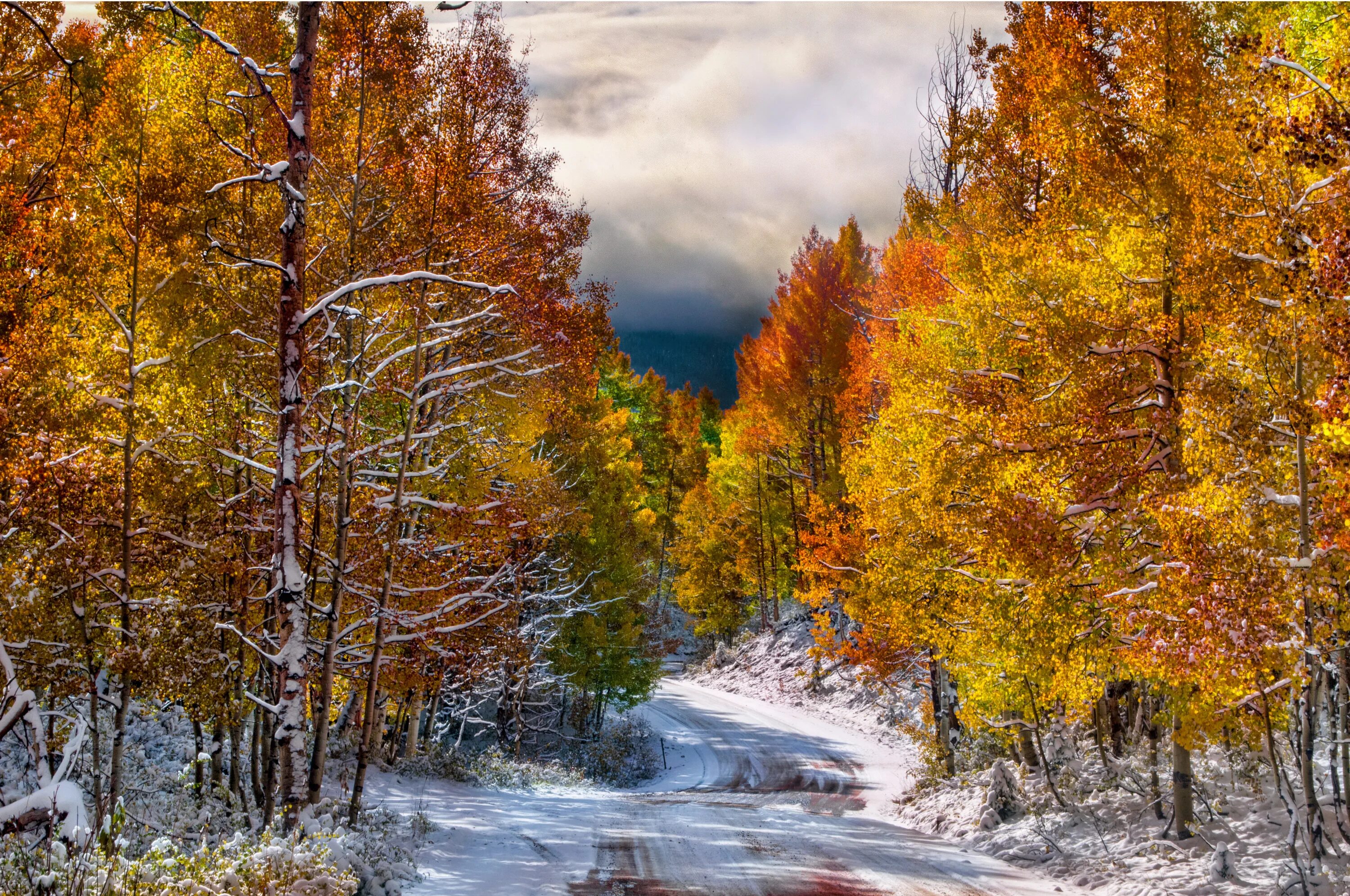 Осенний пейзаж. Снежная осень. Осень первый снег. Ранняя зима.