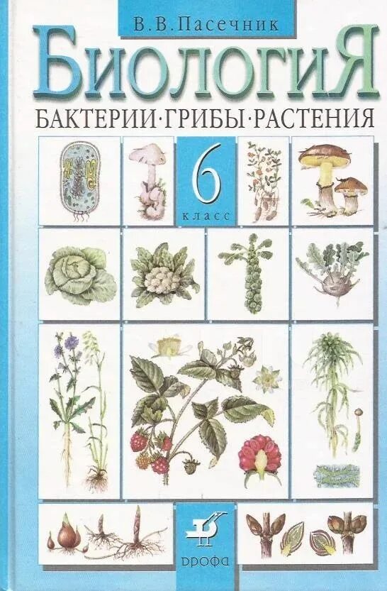 Биология 6 класс рабочая тетрадь пасечник линия жизни. Учебник. 6 класс. Биология. Биология 6 класс субанова.