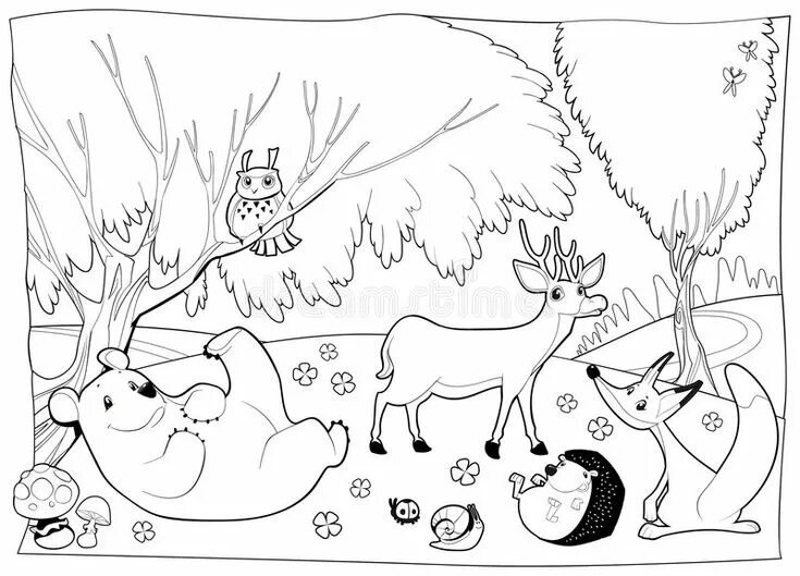 Иллюстрация Познавательная раскраска о природе в стиле детский Illustrators.ru C