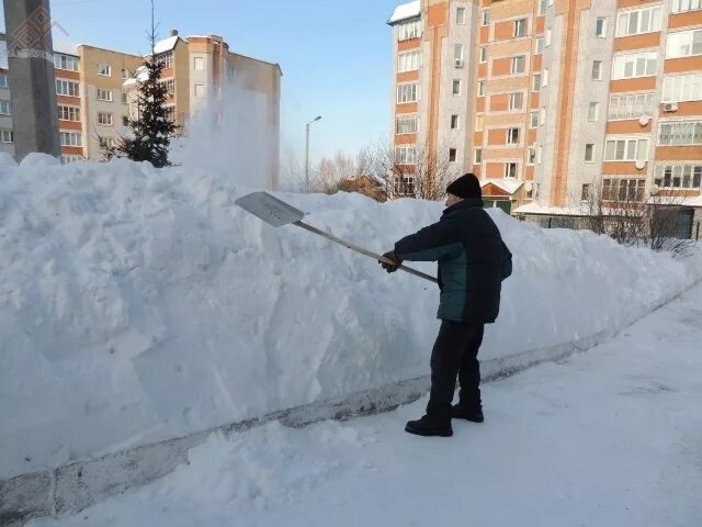 Дворники будут получать. Лучший дворник. дворник 49 тысяч рублей. дворники бугульмы. одноклассник дворник.