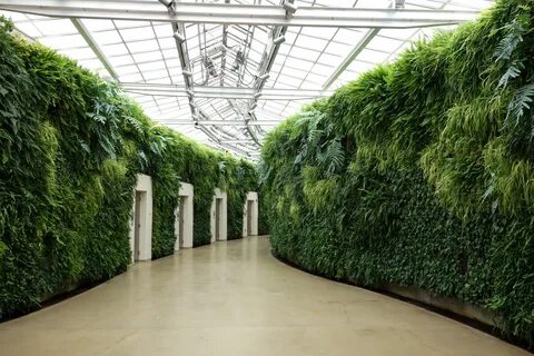 Большая зеленая стена