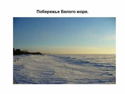 Белое море какой край