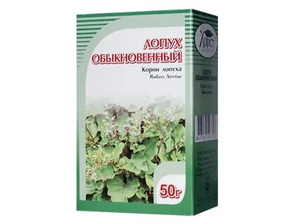 Корни лопуха лист лопуха