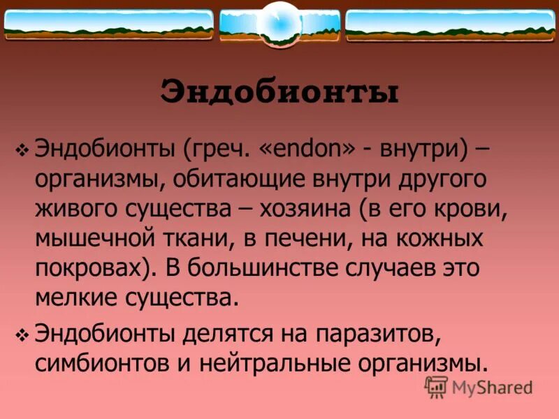 эндобионты среда обитания. среды жизни егэ биология. эндобионты среда обитания. обитатели внутриоргазменная среды. гидробионты аэробионты эдафобионты эндобионты.