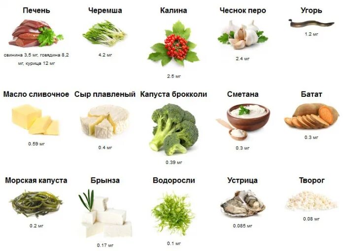 Какие продукты содержат витамин е