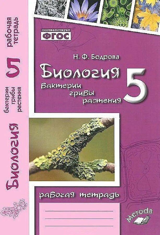 Бодрова биология 9 класс рабочая. Биология 5 класс бактерии грибы растения. Биология 5 класс. Рабочая тетрадь. ФГОС. Растение гриб бактерия биология. Биология 5 класс рабочая тетрадь Бодрова.