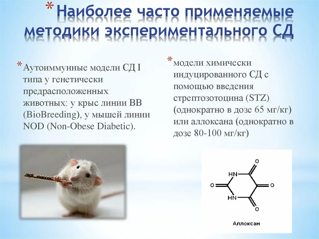 Экспериментальные модели животных. Экспериментальные модели мышей.