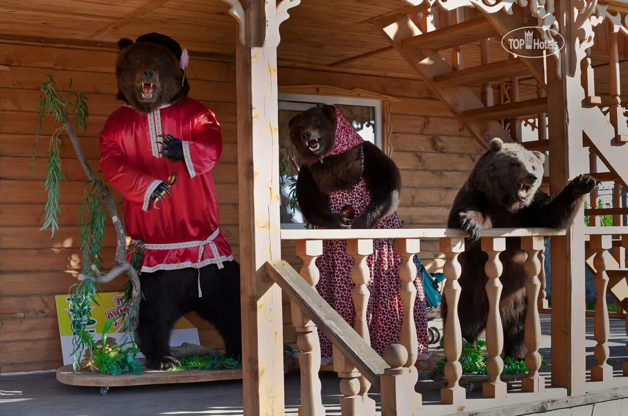 Три медведя горный Алтай. Ая три медведя турбаза. Отель три медведя Алтай. Три медведя туристический комплекс Алтай. Фотографии 3 медведей
