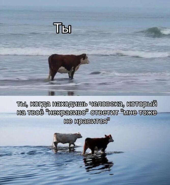 Такой отстой он встречается с другой