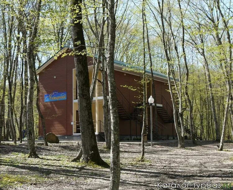 Родничок горячий. Турбаза Родничок Тольятти. Родничок на Шеломенцево. Родничок база отдыха Шеломенцево.