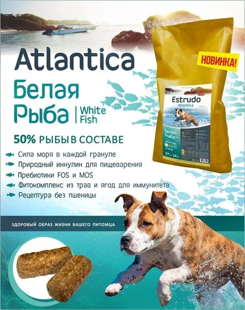 Корм для собак fish4dogs (1. Корм для кошек белая рыба. Порцелан корм для собак. Корм для белой рыбы. Estrudo корм для собак.