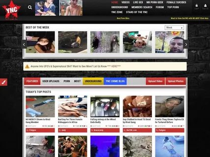 10 Best Websites Like BestGore (Alternatives) For Shocking Videos 4. 10 .....