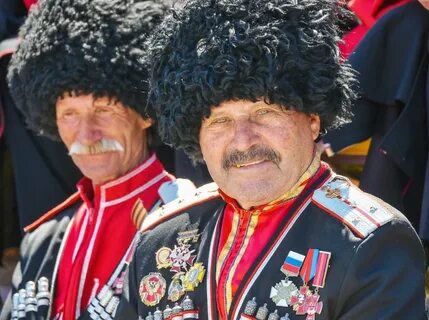 1 кубанские казаки