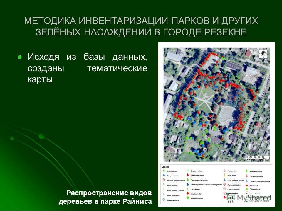 Методика инвентаризации растений. План инвентаризации зеленых насаждений. Виды инвентаризации зелёных насаждений. Зеленые насаждения для презентации. Методика зеленых насаждений.