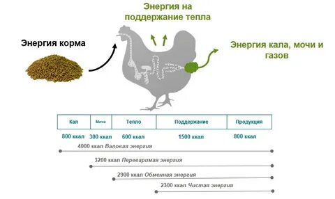 Комбикорм энергия
