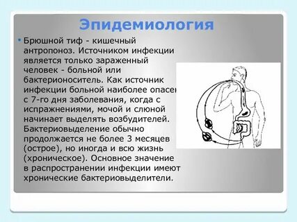 Тиф источник инфекции