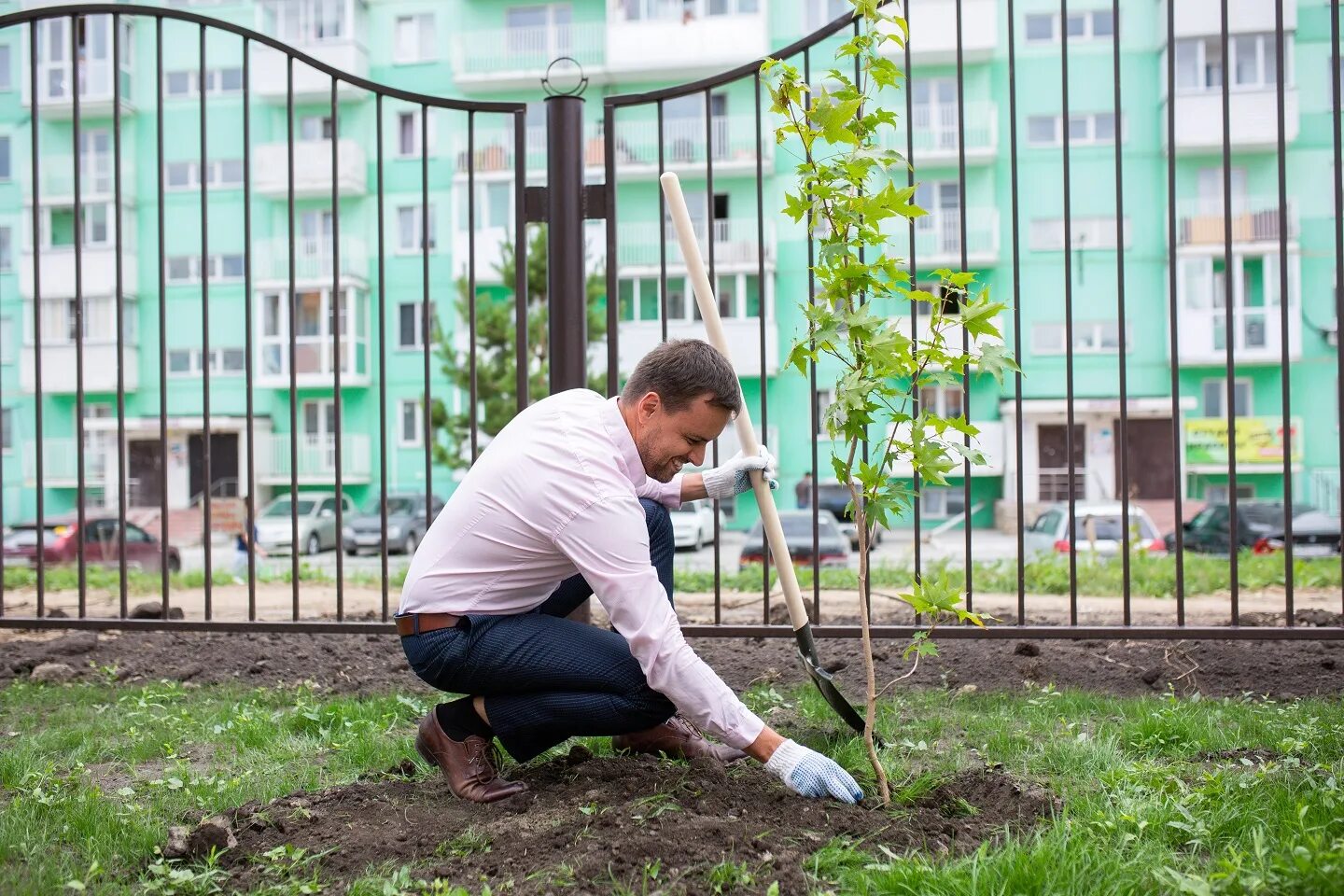 Акция озеленение. Акция по озеленению территории детского сада. акция по озеленению. акция по озеленению территории. благотворительная организация по высадке деревьев в кирове.