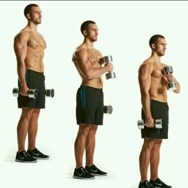 Как увеличить бицепс. Cross body hammer dumbbell curl. упражнения на бицепс с гантелями. подъем гантелей на бицепс. подъем гантели на бицепс.