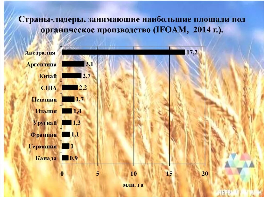 Районы производства сельскохозяйственной продукции. Страны Лидеры растениеводства. Страны Лидеры в сельском хозяйстве. Лидирующие страны по сельскому хозяйству. Лидеры сельского хозяйства.