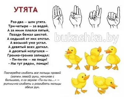 Пальчиковая гимнастика домашние птицы