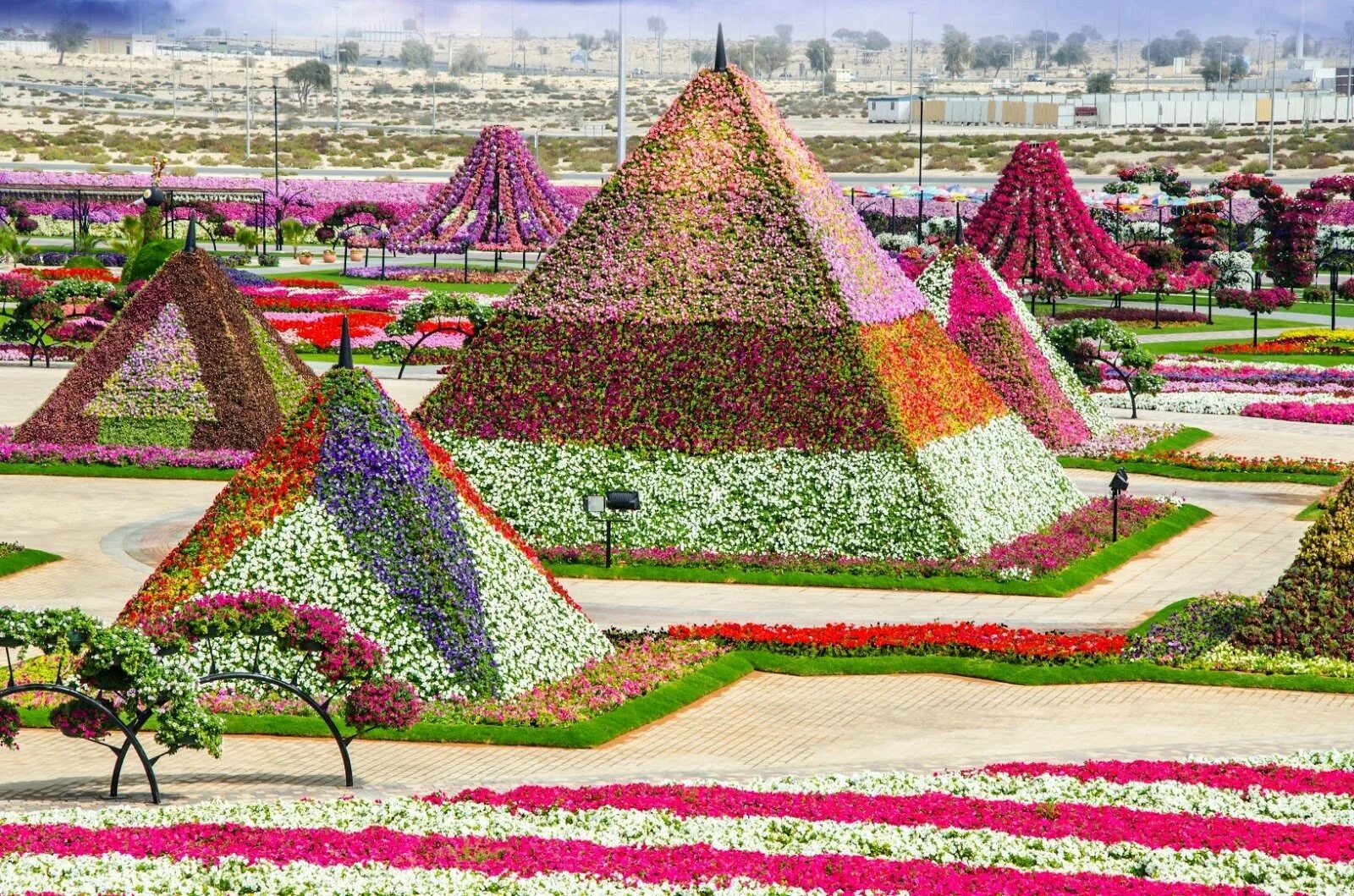 Парк цветов Dubai Miracle Garden. Миракл Гарден Дубай. Цветочный сад в Дубае Миракл. Цветочный парк в Дубае Миракл Гарден..