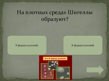 Плотные среды