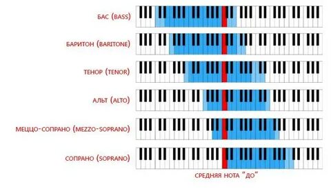 Определим цвет голоса