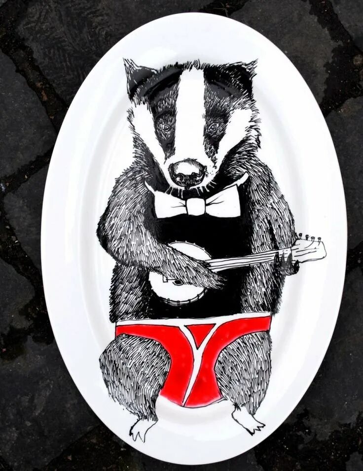 бирманский барсук. смешной барсук. животное носом в камеру. барсучья морда. хитрый барсук.