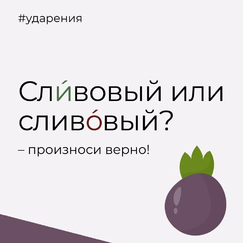 ударение в сливовый. сливовый. сливовый ударение ударение. красивее ударение. правильное ударение.